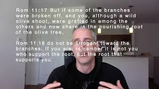 Why Christians should honor and respect jews | Boast not against the branches | Rom 11:18