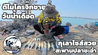 ตีไมโครจิ๊กชายฝั่งวันน้ำเดือด กุเลาไซส์สวย สะพานปลาชะอำ 🐟✅