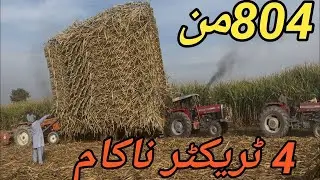 2 MF 385 Tractors, MF 375 Tractor, Fiat Tractor Vs Heavy Loaded 804 Man Sugarcane Trolley 