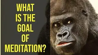 What is the Goal of Meditation? (and what it's not)