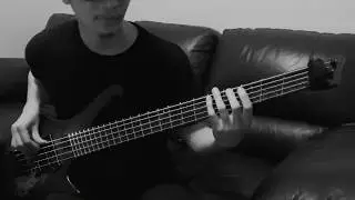 intervals - impulsively responsible (bass cover)