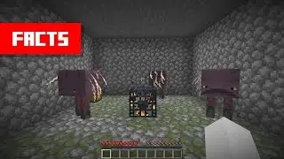 You can CHANGE Mobs in Spawners