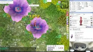 Assassin Katar Crit Build - Ragnarok Classic - Ring[1] Farming