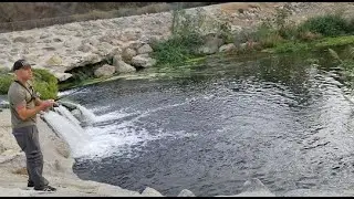 Ventura County Bass Fishing in the Wash