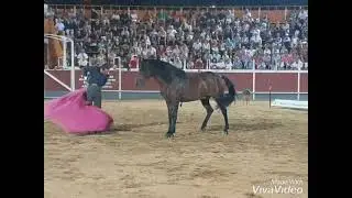 Javier Garc&iacute;a con Bailando en Pozuelo de Alarc&oacute;n (Madrid) 2019