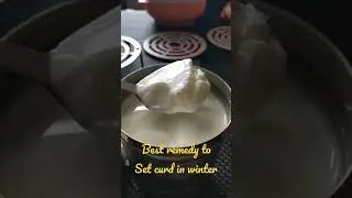 How to set curd during winter season/ best tip to set curd during winter season