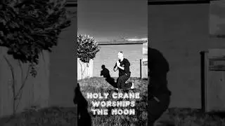 Shibashi Qigong 18 Movements Meditation level 2, Exercise 8. Holy Crane worships the Moon...