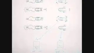 pmh generator