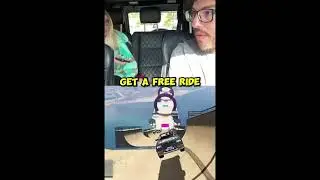 Uber Passenger Tries To Scam Driver! #clip #revenge #uber #storytime
