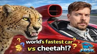 World's Fastest Car Vs Cheetah! | #trending #youtube #mrbeast 