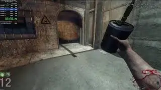 BO1 Der Riese Round 30 Speed run 36:55