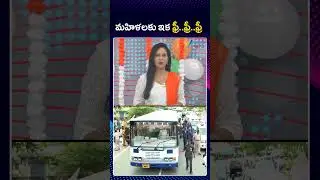 CM Chandrababu | AP Free Bus Schemes | మహిళలకు ఇక ఫ్రీ  ఫ్రీ  ఫ్రీ | ZEE Telugu News