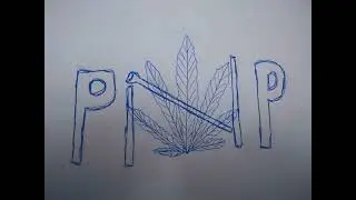 Micek & Podpora (PNP) - Twoja sprawa 2025