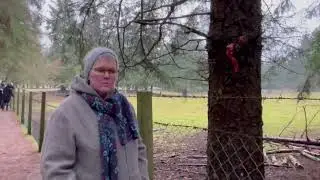 D&aring;dyr-leg i L&aelig;k