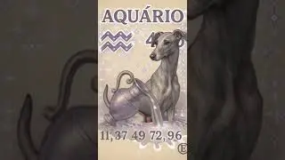 Aqu&aacute;rio ♒️,N&uacute;meros da Sorte! #aquario #signos #numerosdasorte#ia #contosdotarotoficial
