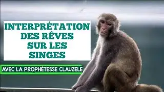INTERPR&Eacute;TATION DES R&Ecirc;VES SUR LES SINGES...