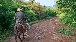 Nos fuimos a dar un TOUR por Chapultepec guerrero municipio de Tlalchapa 