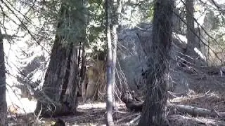 Invisible Bigfoot