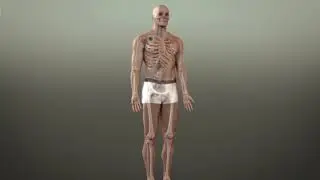 Heart Pacemaker | 3D Medical Device Animation
