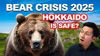 Hokkaido Bear Encounters Are Rising &mdash; Here&rsquo;s How to Stay Safe