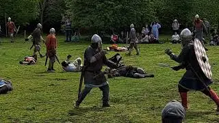 Viking Reenactment weapons Display