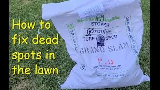 Step 1. Removing thatch with a rake to expose the soil
