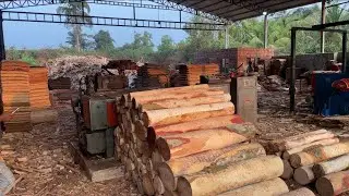Giant Log Turned Into Thin Veneer Sheets🪵 | Sawmill Peeling Process 🌲👌|