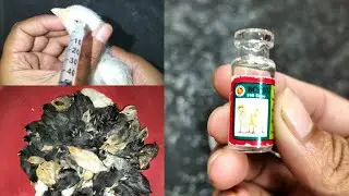 মুরগির বাচ্চা কে কিভাবে রানীক্ষেত্রের ভ্যাকসিন করাবো BCRDV vaccine 🐓