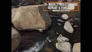 Bi Weekly Video Fishing Report & Forecast - November 25th Edition