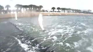 Corpus Christi TX. Fishing. Nice Sand Trout fishing the Bayfront Downtown May 26 2025