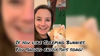Cat on the Mat! - A fun action/movement song I wrote for any cat lovers! 