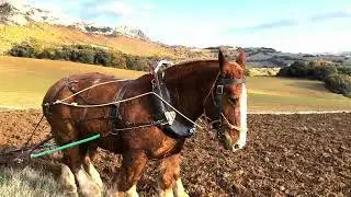 Regererative Agriculture Kripan -  Design and Execution