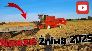 Potężne Mł&oacute;cenie Pszenicy BIZONEM | Nasze ŻNIWA 2025