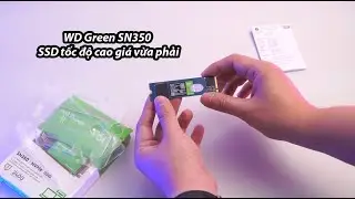 WD Green SN350 - SSD gi&aacute; tốt, tốc độ cao đ&uacute;ng chuẩn