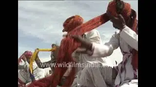 Traditional Rajasthani folk dance with vibrant turbans and music