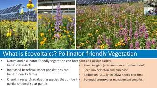 Native Seed Stakeholder Meeting 2024: Pollinator Habitat Research at US Solar Sites