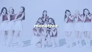producer spotlight: monotree