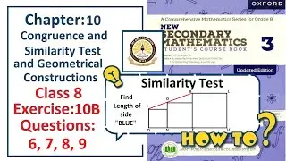 Exercise 10B Question 6, 7, 8, 9 &ndash; (SimilarityTest)  Complete solution &ndash; APS Math Class 8.