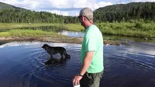 Duck Hole Reflections