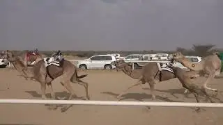 ش1 بكار ثنايا 1447/07/28هـ - 2026/01/17م (الرباعه) دخيل الله كليب القرشي