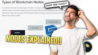 Different Types Of Nodes In Crypto 💠 Crypto Nodes Explained