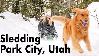 Extreme Sledding with the Dogs in Park City, Utah