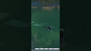 Planet zoo modded mandarin duck and koi fish