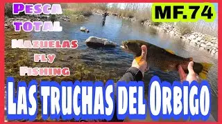 ⏩Mazuelas Fly Fishing & Pesca Total.Las truchas del Orbigo.