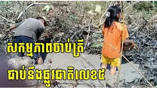 Ep.215: សកម្មភាពចាប់ត្រីជាប់នឹងផ្លូវជាតិលេខ៥ - Fishing Near Road 5