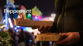 Notpla x Peppermint в Зимней Стране Чудес 🎄