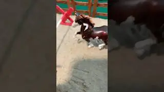 Breyer horse stablemate happy song by Pharrell Williams music video short #breyerhorse #horse #viral