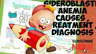 Sideroblastic anaemia | ring sideroblast | pappenheimer bodies | basophillic stippling | Anaemia