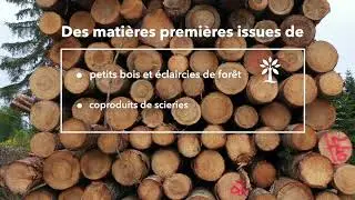 Gomille - Bois design et d&eacute;co - Le choix naturel