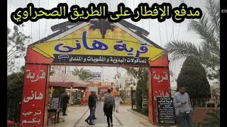 الفطار مع الأصدقاء في قرية هاني للمأكولات البدوية على طريق اسكندرية الصحراوي